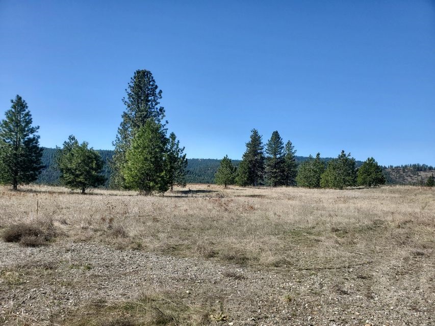970 Kitt-Narcisse Road Colville, WA 99114 - Photo 2 of 20