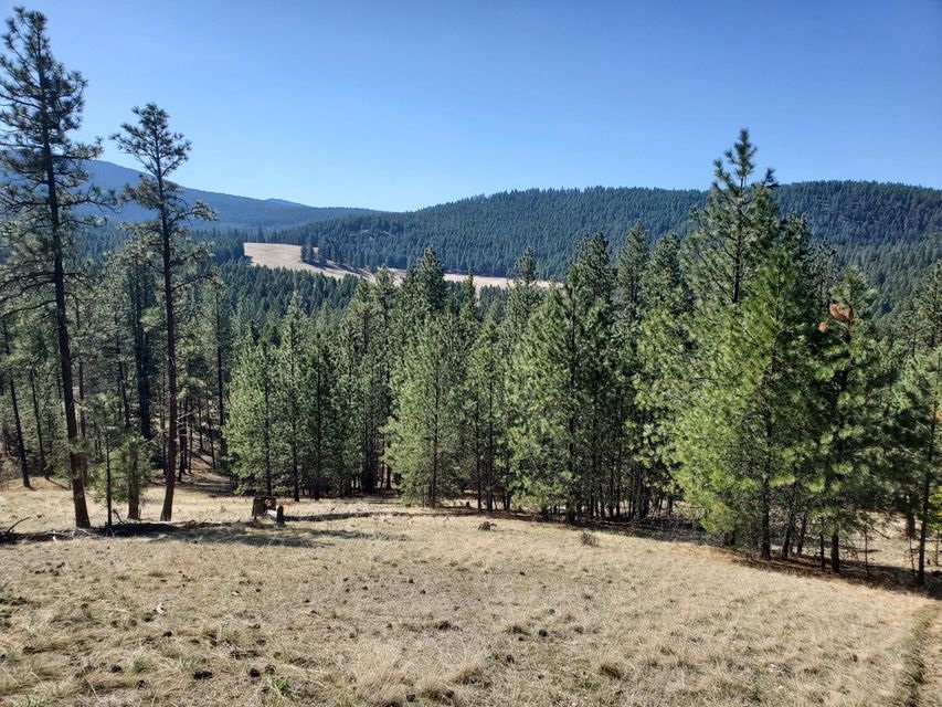 970 Kitt-Narcisse Road Colville, WA 99114 - Photo 11 of 20