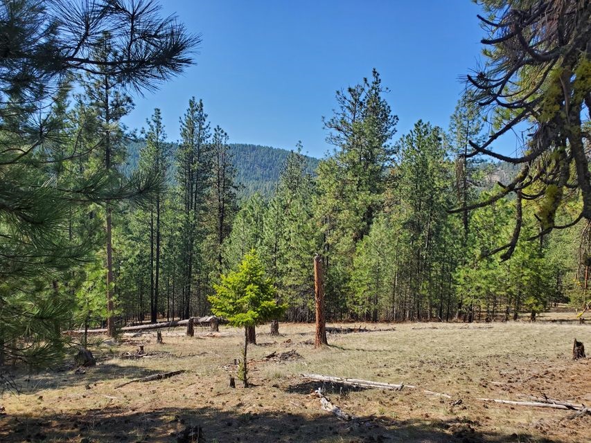 970 Kitt-Narcisse Road Colville, WA 99114 - Photo 12 of 20
