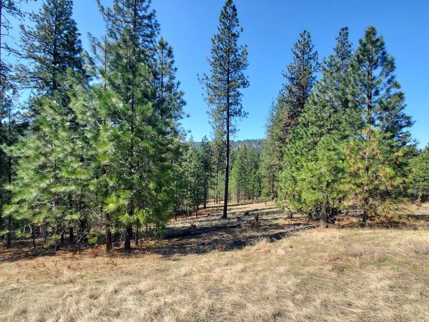 970 Kitt-Narcisse Road Colville, WA 99114 - Photo 13 of 20
