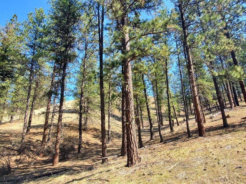 970 Kitt-Narcisse Road Colville, WA 99114 - Photo 15 of 20