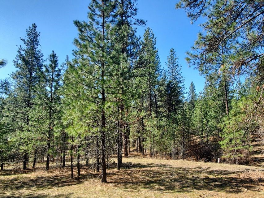 970 Kitt-Narcisse Road Colville, WA 99114 - Photo 16 of 20