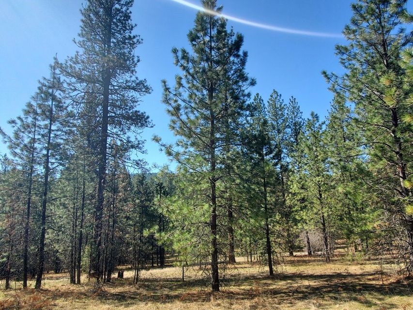 970 Kitt-Narcisse Road Colville, WA 99114 - Photo 17 of 20