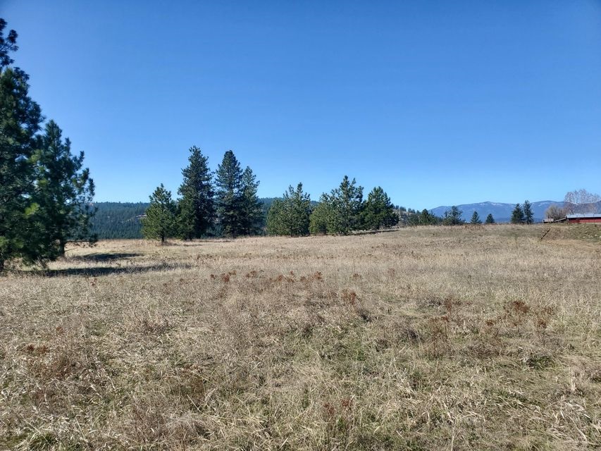 970 Kitt-Narcisse Road Colville, WA 99114 - Photo 18 of 20