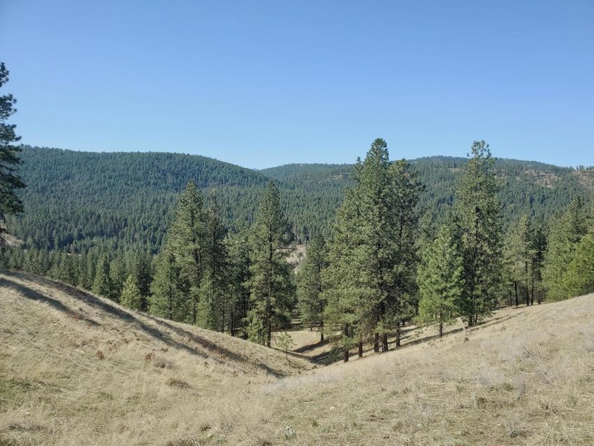 970 Kitt-Narcisse Road Colville, WA 99114 - Photo 19 of 20