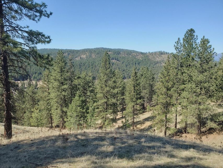 970 Kitt-Narcisse Road Colville, WA 99114 - Photo 20 of 20