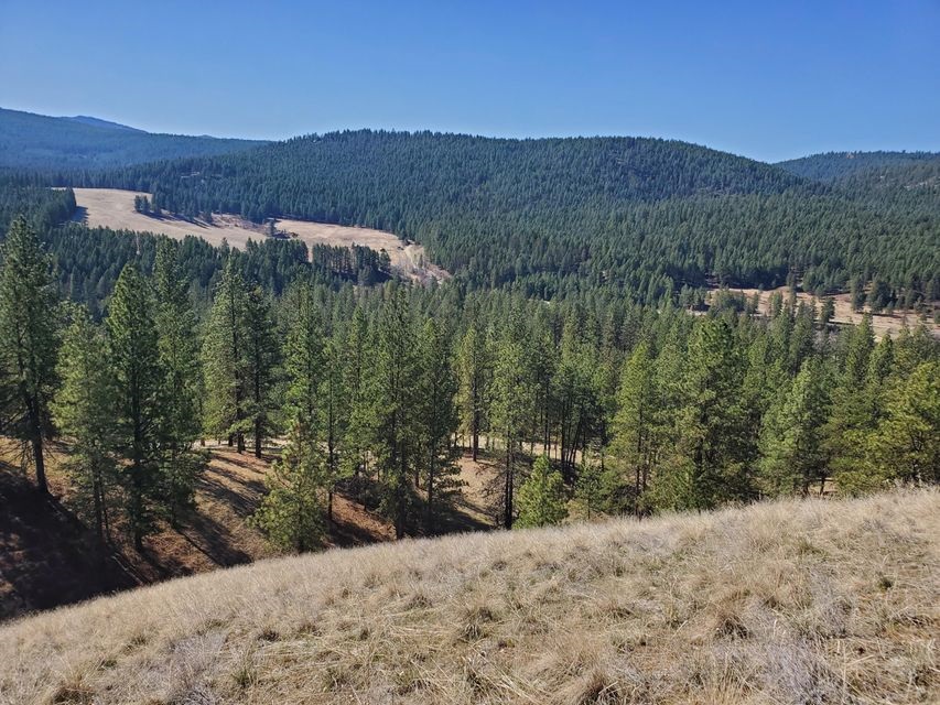 970 Kitt-Narcisse Road Colville, WA 99114 - Photo 6 of 20