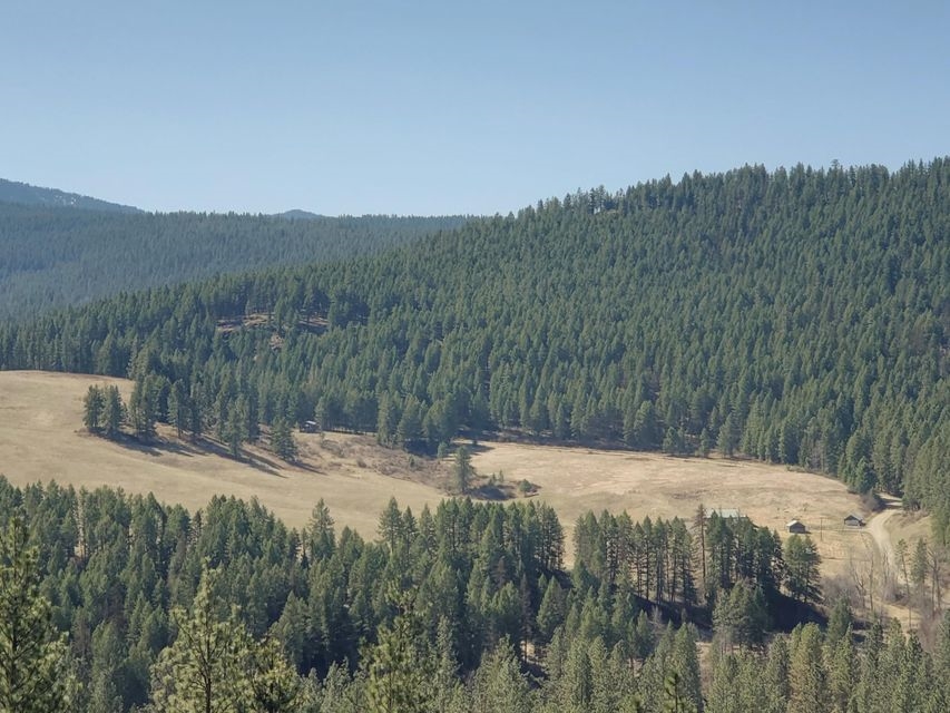 970 Kitt-Narcisse Road Colville, WA 99114 - Photo 7 of 20