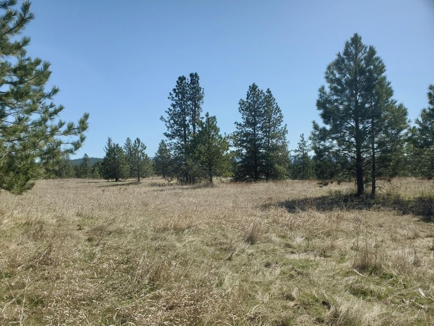 970 Kitt-Narcisse Road Colville, WA 99114 - Photo 9 of 20