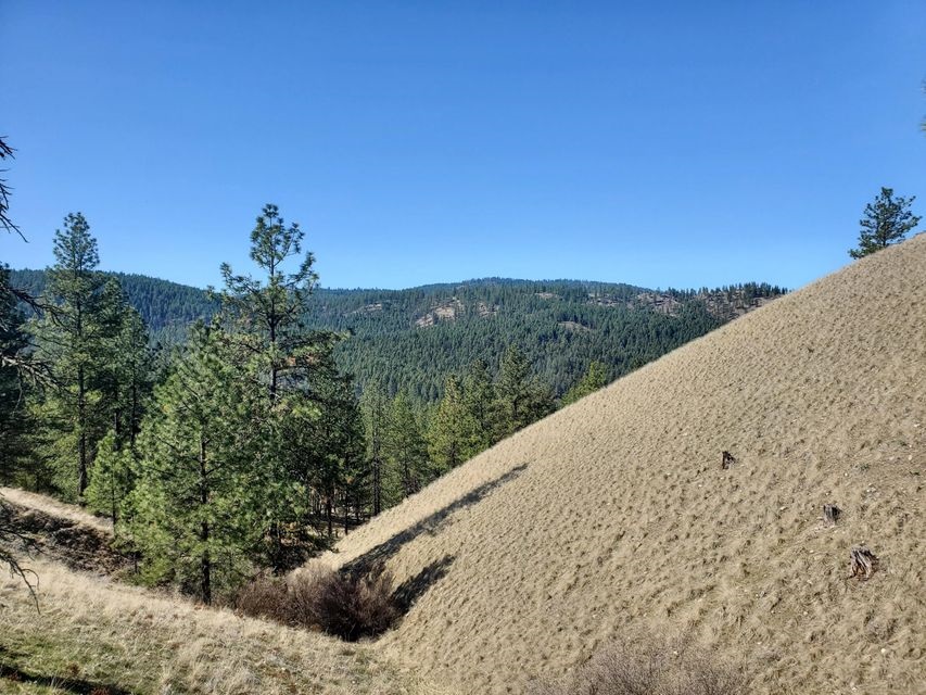 970 Kitt-Narcisse Road Colville, WA 99114 - Photo 10 of 20