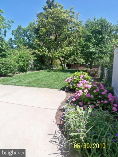910 Ridgewood Street Annapolis, MD 21401 - Photo 22 of 29 Back yard