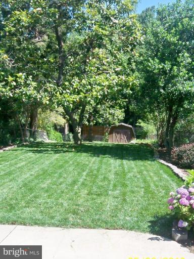 910 Ridgewood Street Annapolis, MD 21401 - Photo 27 of 29 Garden
