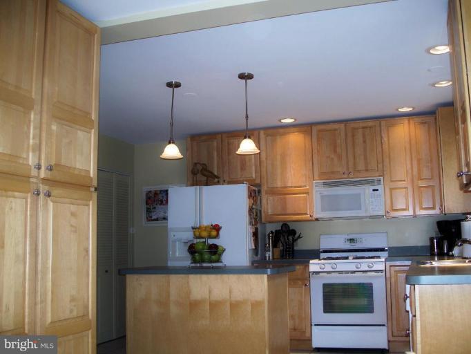 910 Ridgewood Street Annapolis, MD 21401 - Photo 9 of 29 Kitchen #3