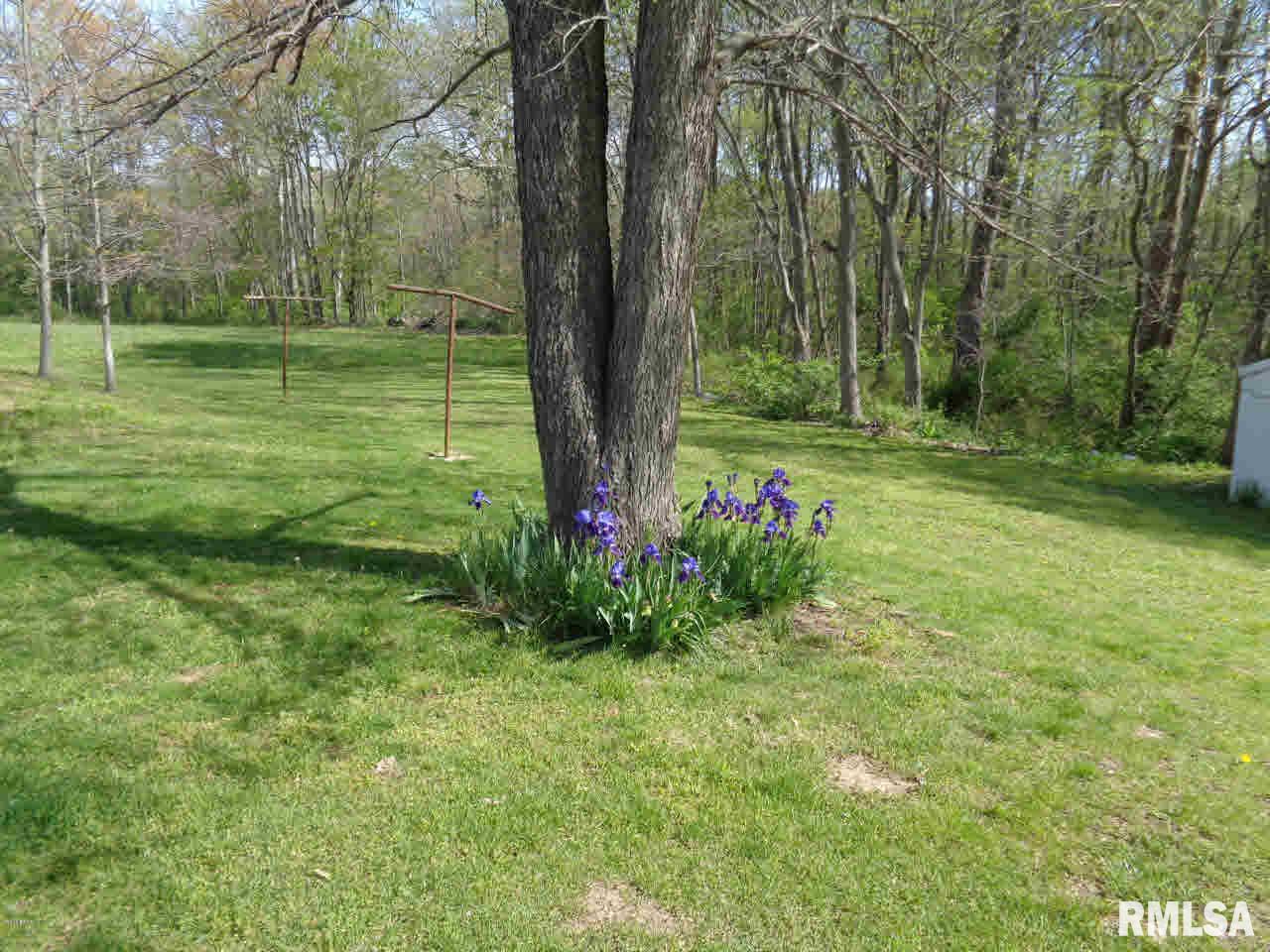 420 1055 East Raleigh, IL 62977 - Photo 34 of 36 Gallery Image 34