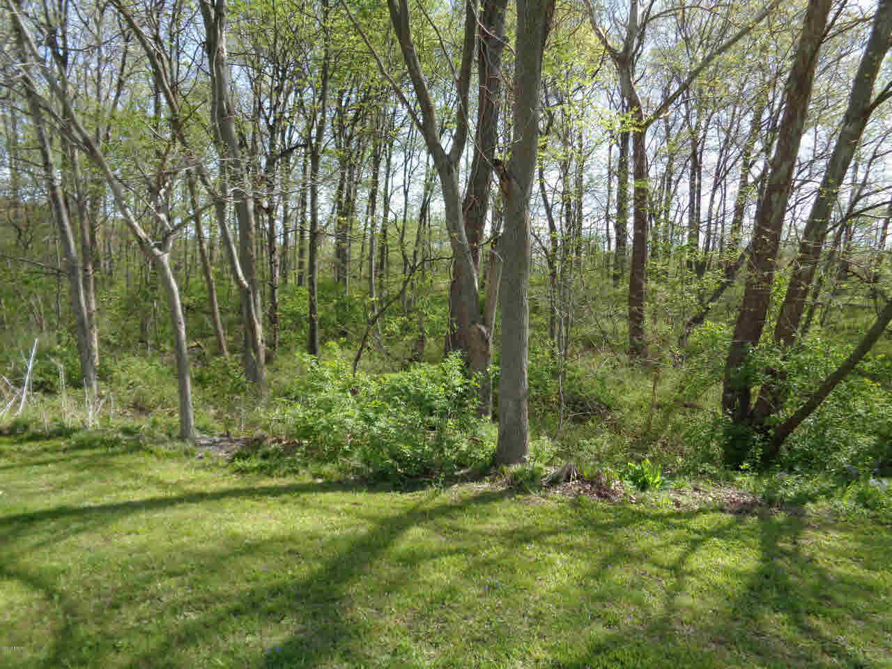 420 1055 East Raleigh, IL 62977 - Photo 35 of 36 Gallery Image 35
