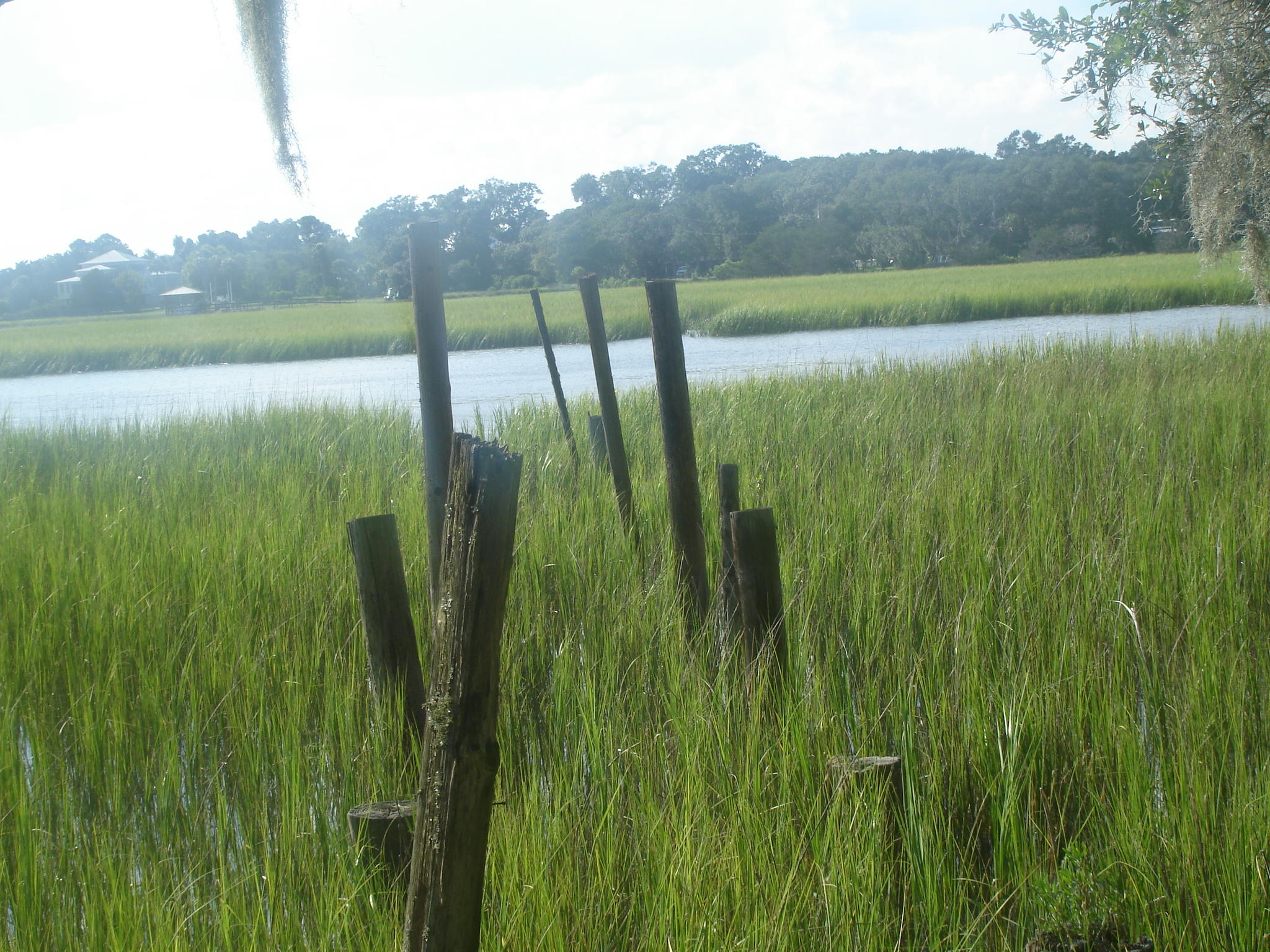 8262 Palmetto Road Edisto Island, SC 29438 - Photo 16 of 25 Palmetto Rd deep water (6)