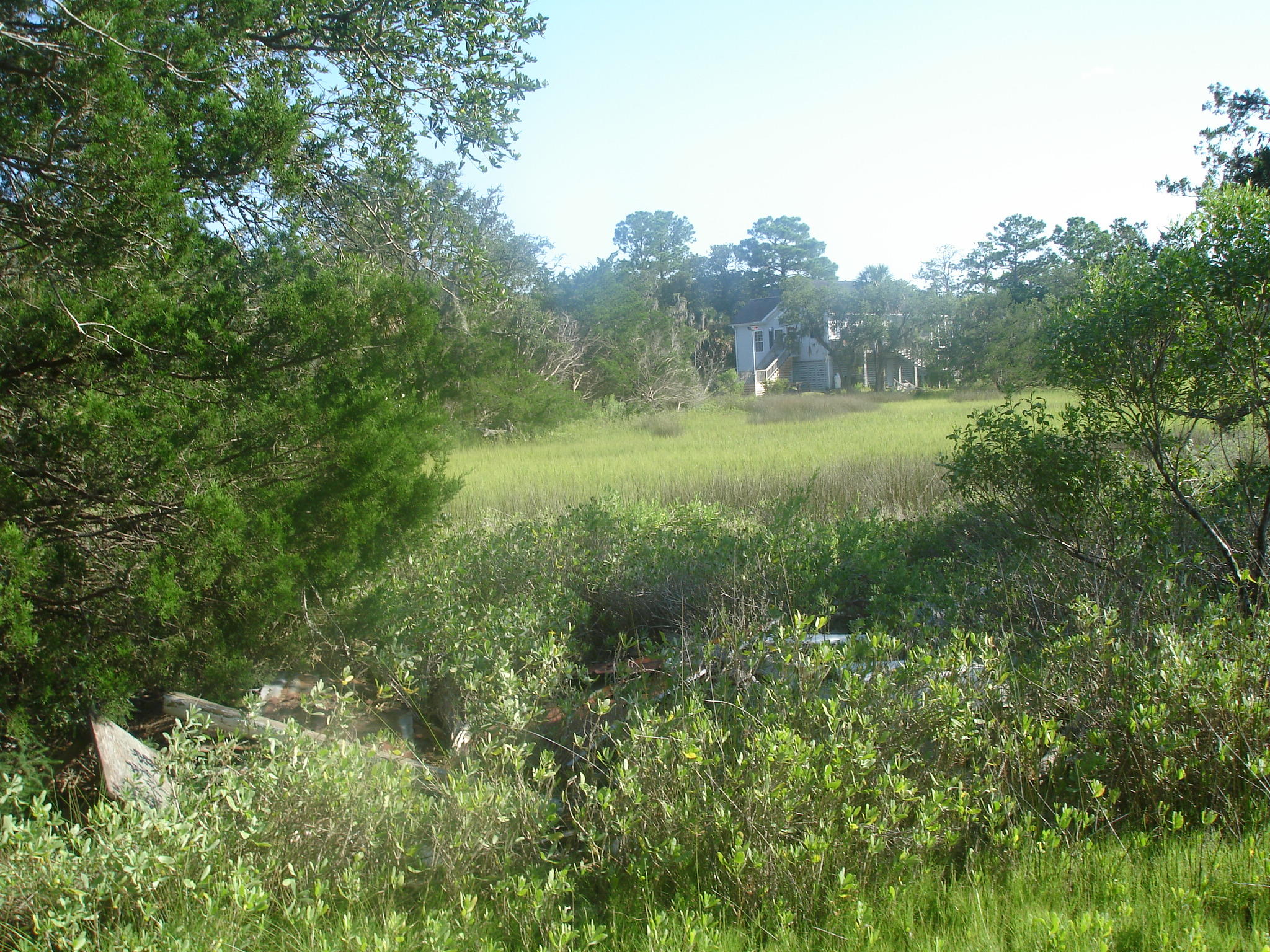 8262 Palmetto Road Edisto Island, SC 29438 - Photo 18 of 25 Palmetto Rd deep water (4)