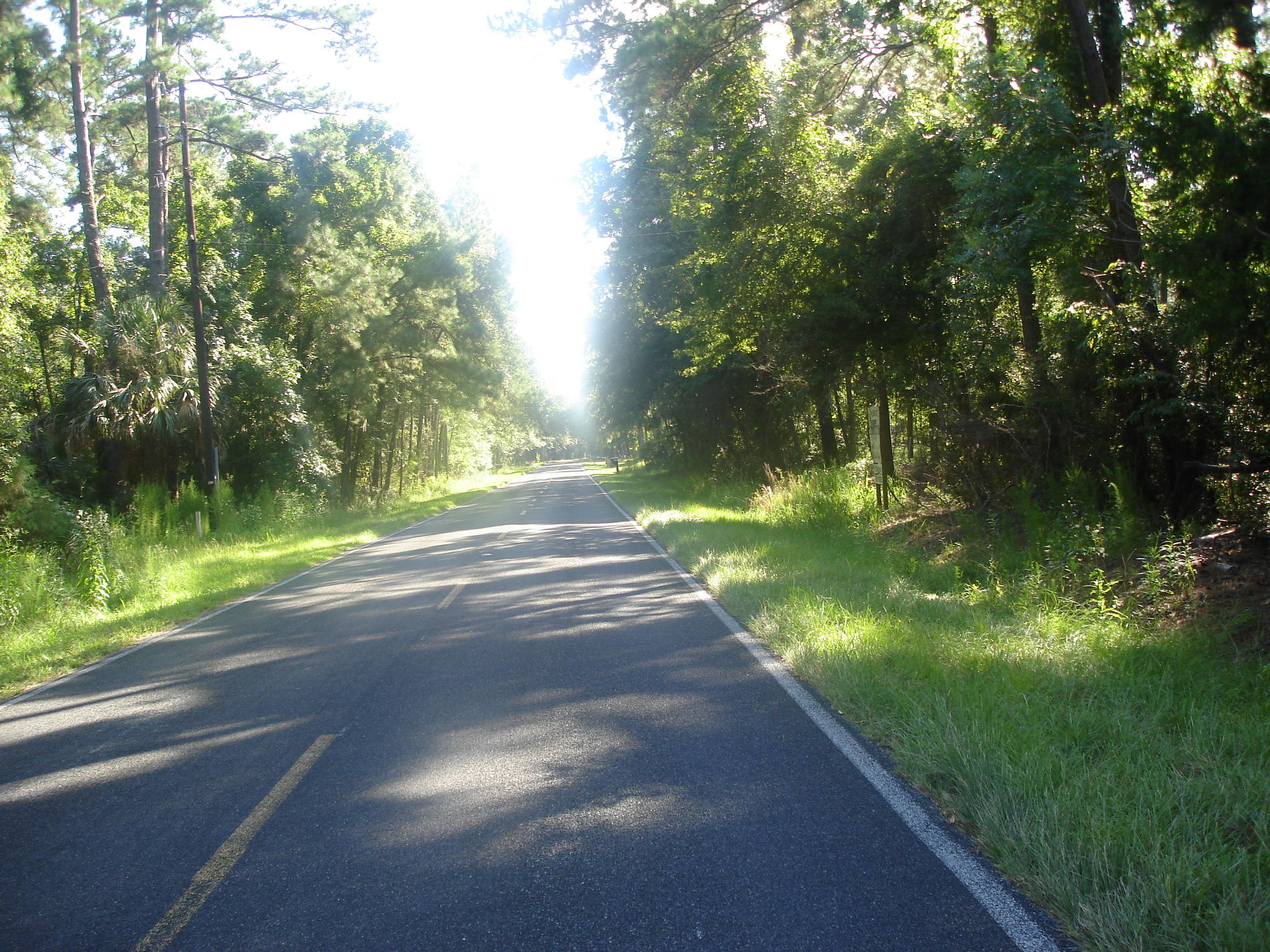 8262 Palmetto Road Edisto Island, SC 29438 - Photo 20 of 25 Palmetto Rd deep water (2)