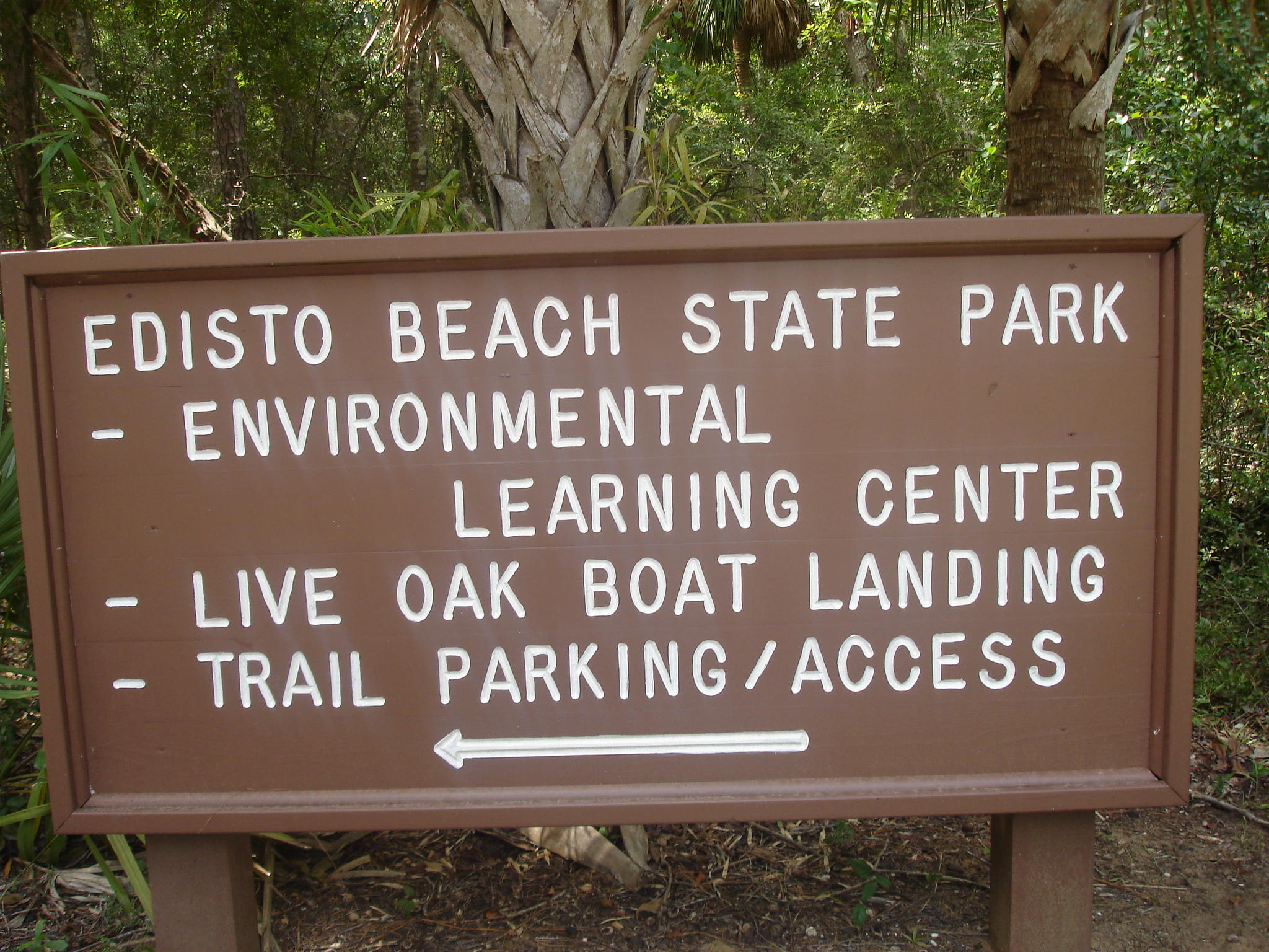 8262 Palmetto Road Edisto Island, SC 29438 - Photo 4 of 25 Palmetto rd Boat Ramp (9)
