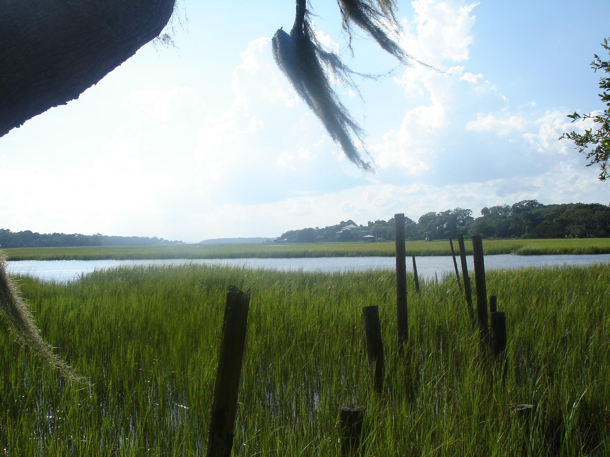 8262 Palmetto Road Edisto Island, SC 29438 - Photo 5 of 25 Palmetto Rd deep water (11)