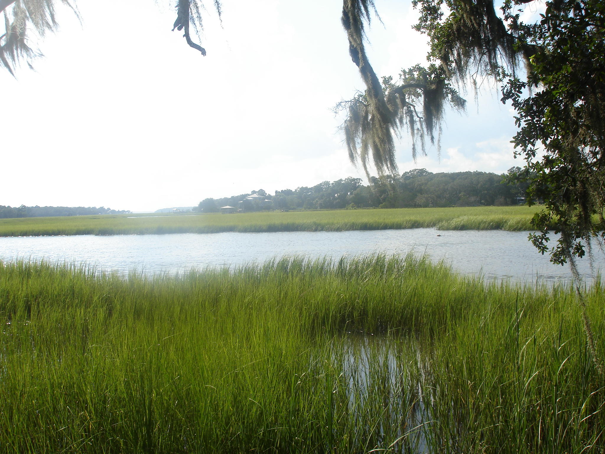 8262 Palmetto Road Edisto Island, SC 29438 - Photo 8 of 25 Palmetto Rd deep water (18)
