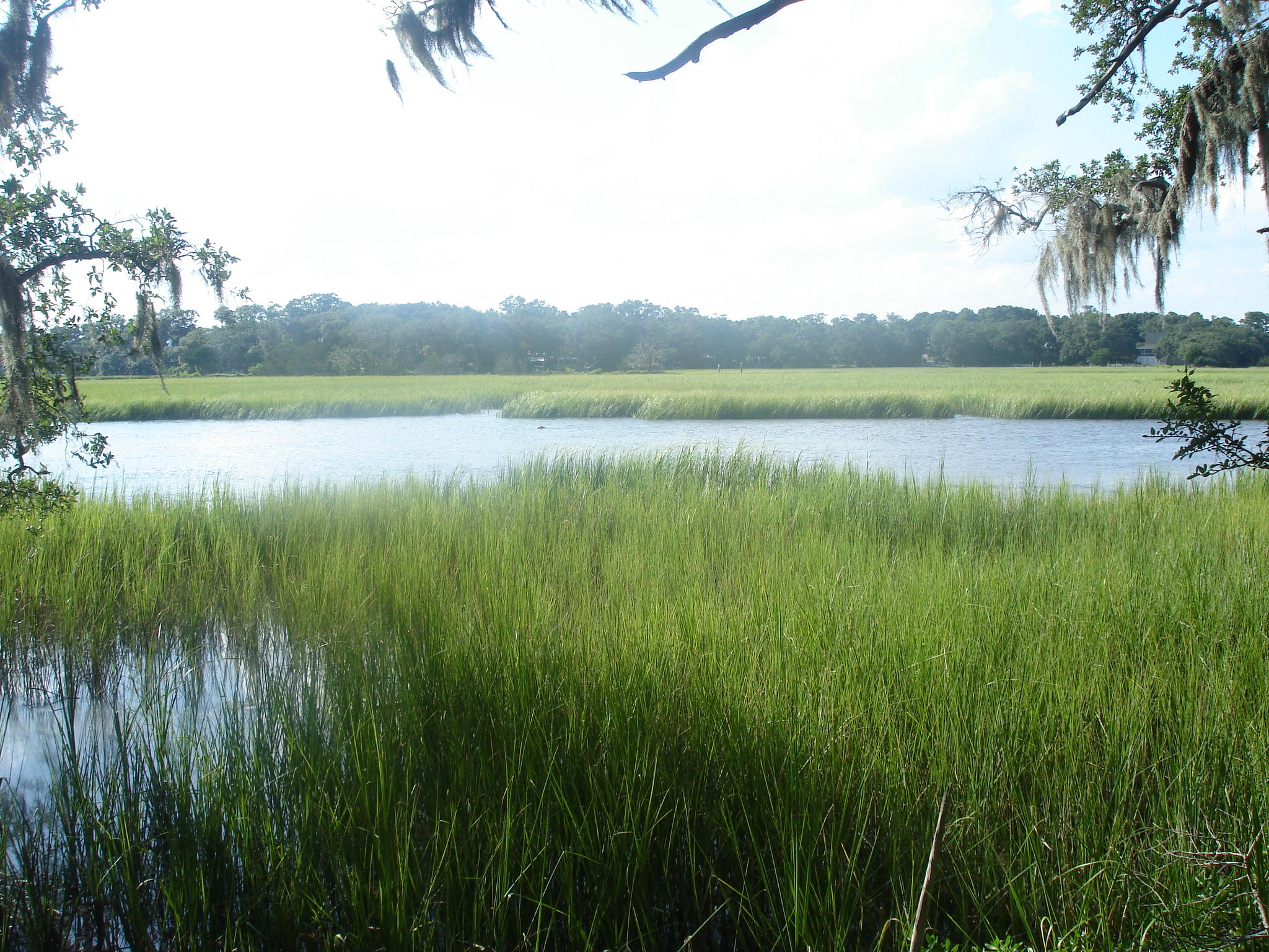 8262 Palmetto Road Edisto Island, SC 29438 - Photo 9 of 25 Palmetto Rd deep water (17)