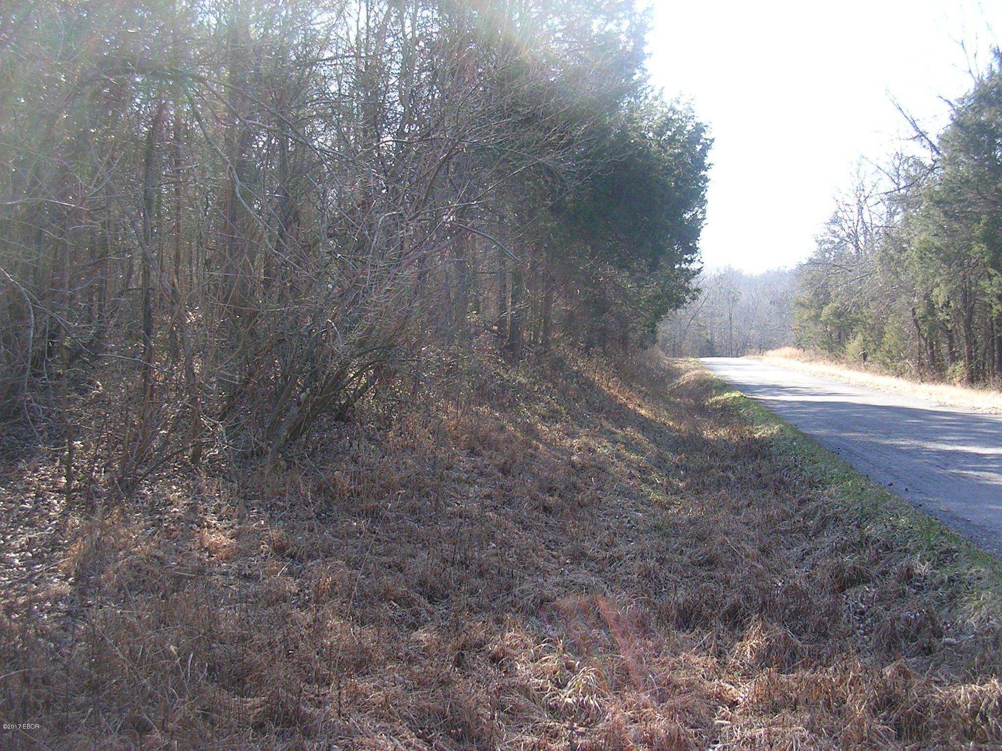 1 Belville Road Ozark, IL 62972 - Photo 3 of 4 Gallery Image 3