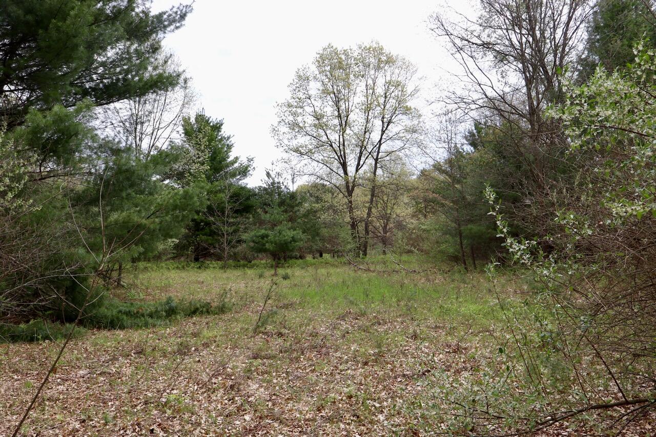 6153 South Branch Road Branch, MI 49402 - Photo 7 of 70 6