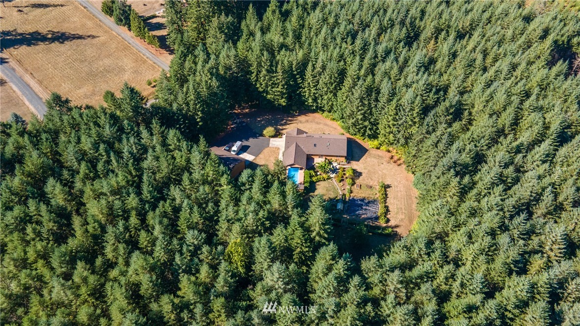 249 Coma Road Winlock, WA 98596 - Photo 4 of 38 an aerial view of a house with a yard and large trees