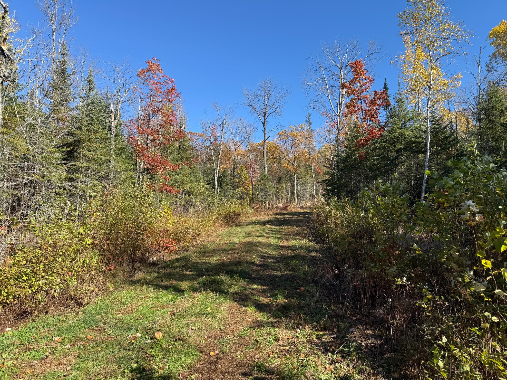 Tbd French Road Chisholm, MN 55719 - Photo 54 of 104