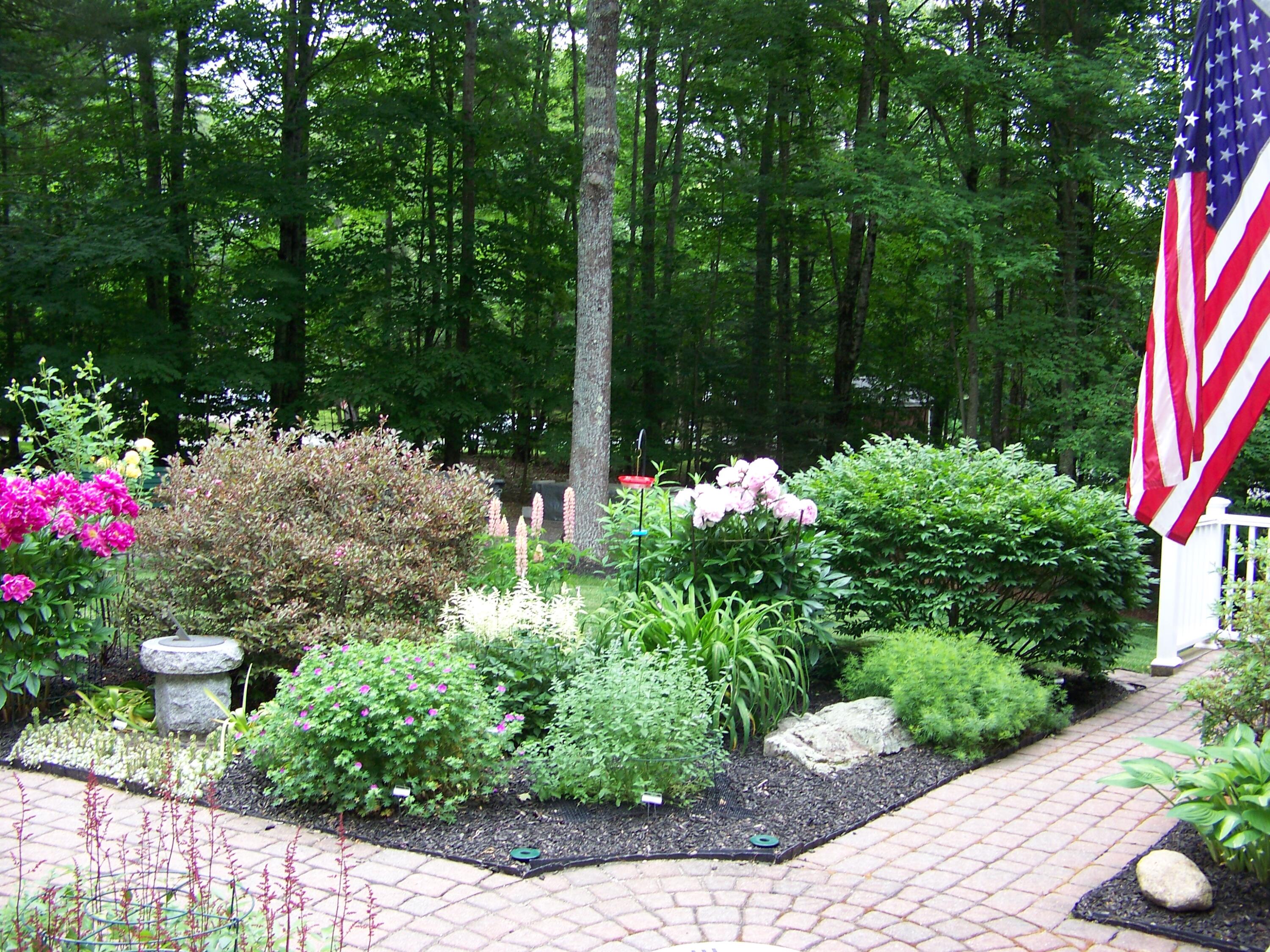 50 Underhill Drive Gorham, ME 04038 - Photo 73 of 85 100_1675