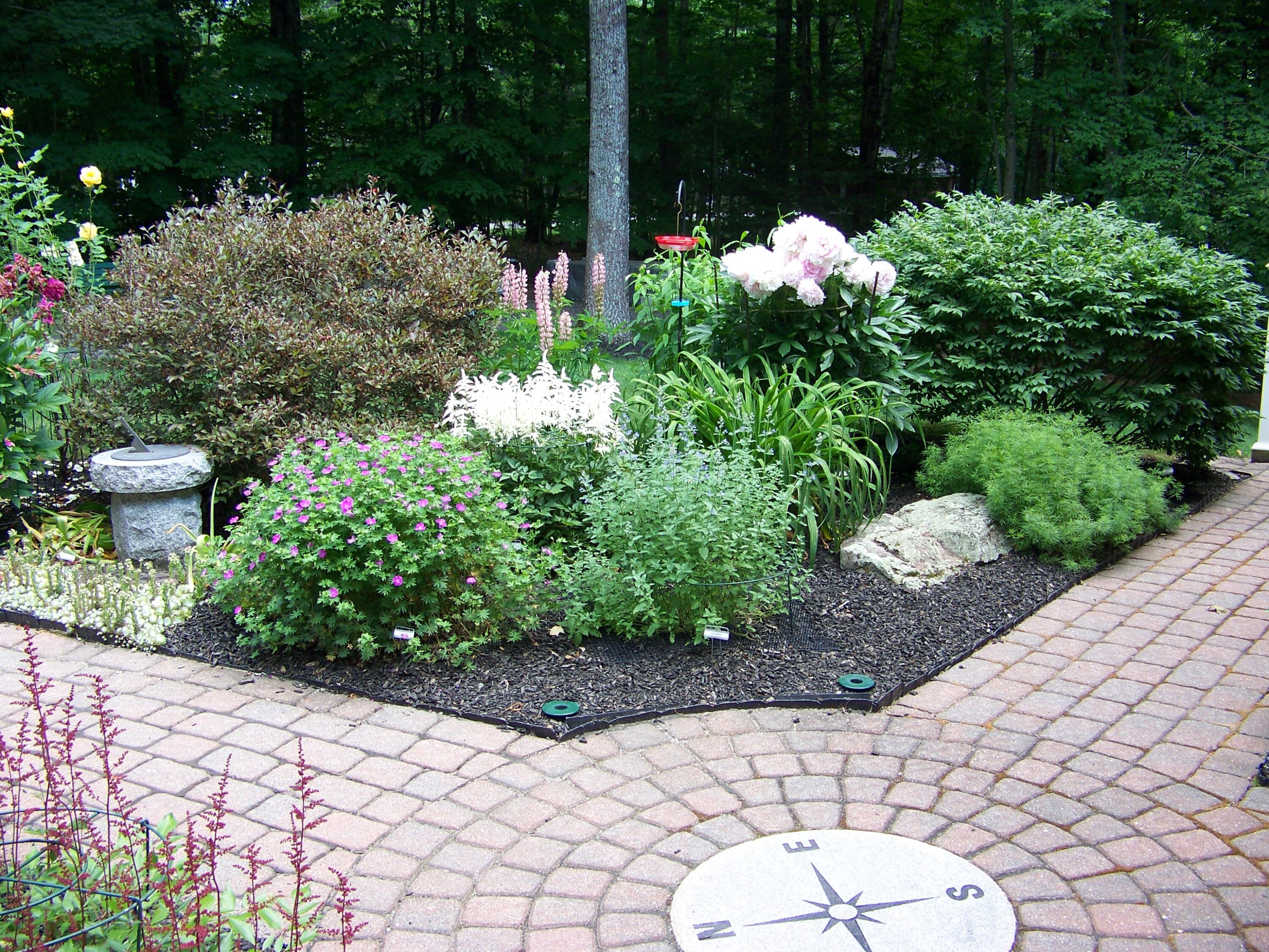 50 Underhill Drive Gorham, ME 04038 - Photo 74 of 85 100_1681