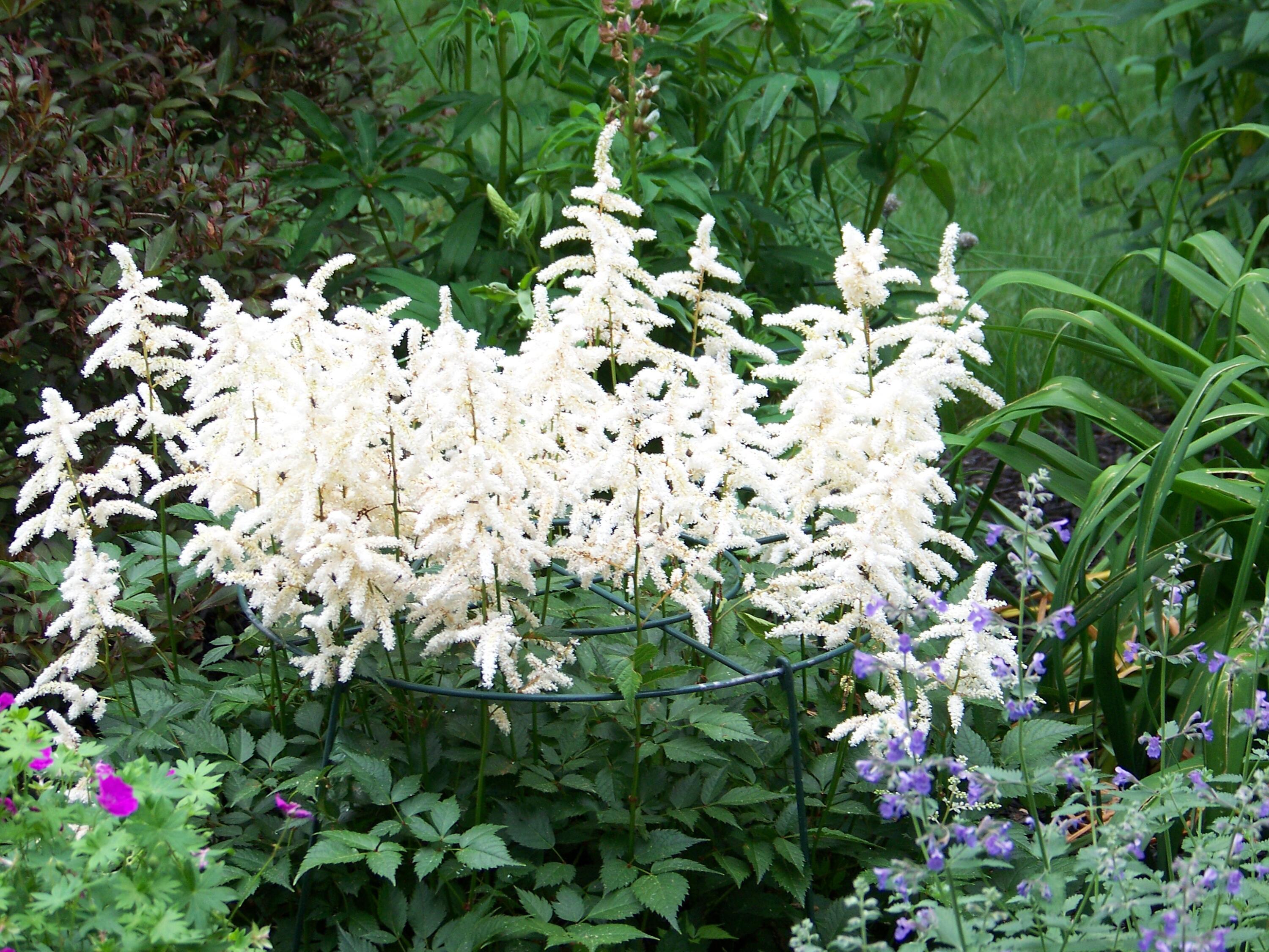 50 Underhill Drive Gorham, ME 04038 - Photo 77 of 85 100_1683