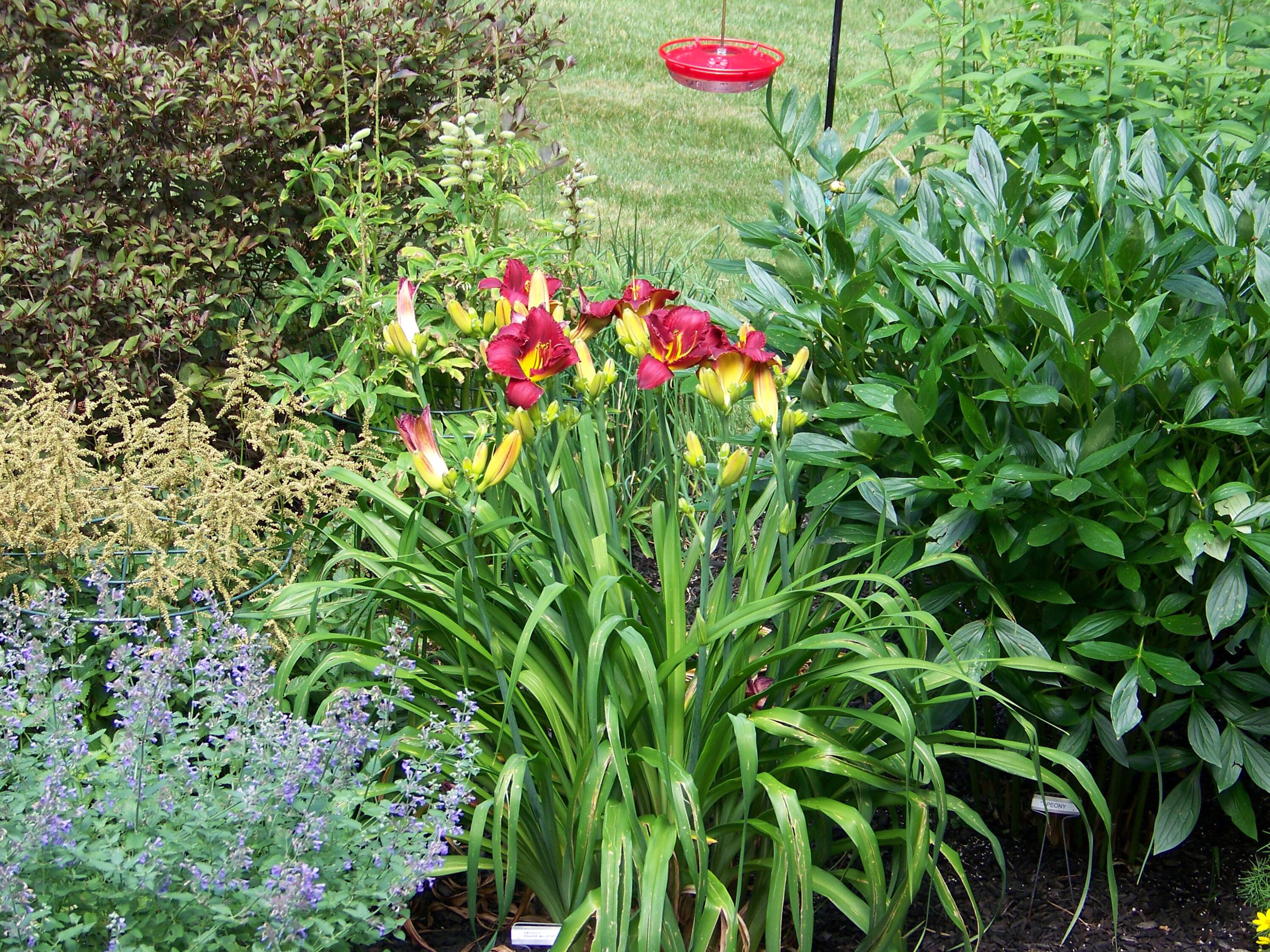 50 Underhill Drive Gorham, ME 04038 - Photo 81 of 85 100_1693