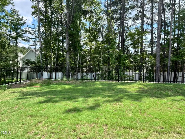 a view of a park with a tree in the background