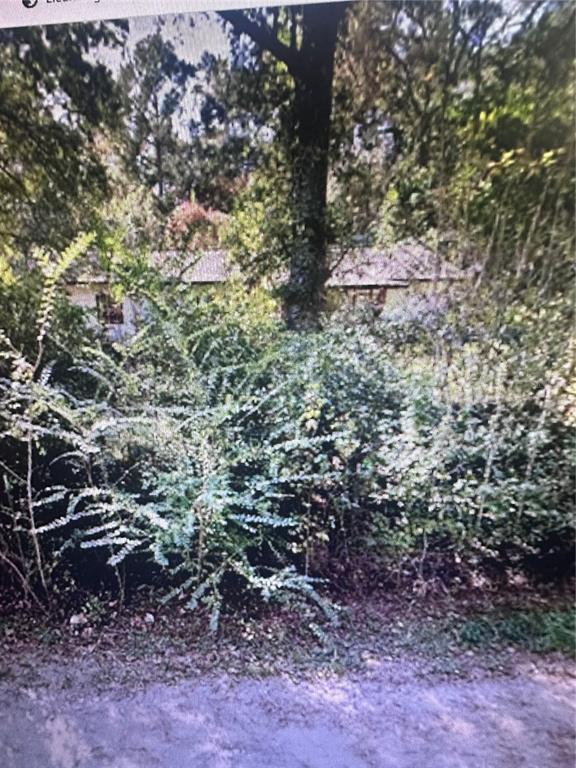 2180 Bonifay Gritney Road Caryville, FL 32425 - Photo 2 of 6