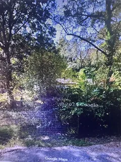 a view of a tree