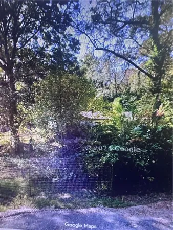 a view of a tree
