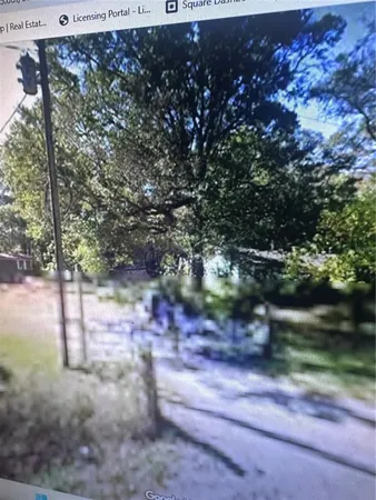 a view of a yard with plants and trees