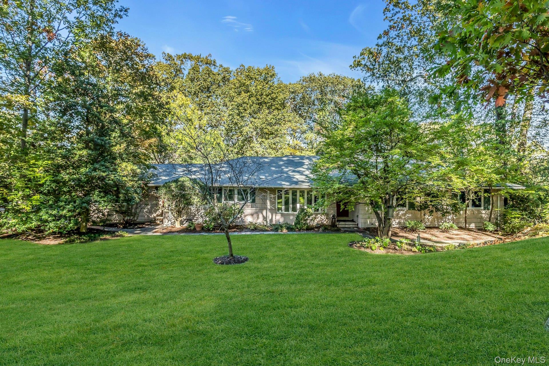 a view of a park with large trees