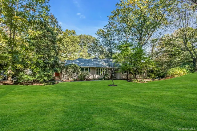 a view of a trees in a yard