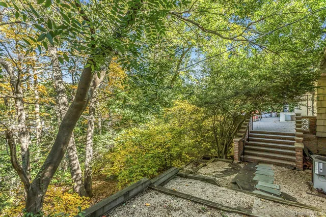 a view of a yard with plants and trees