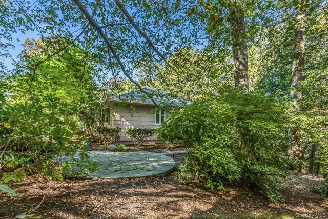 a view of a backyard with plants and a garden