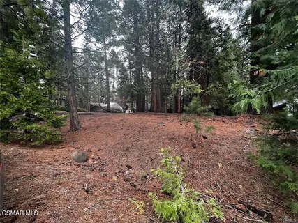 a view of outdoor space with deck and trees