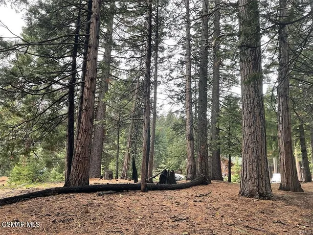 a view of road with trees