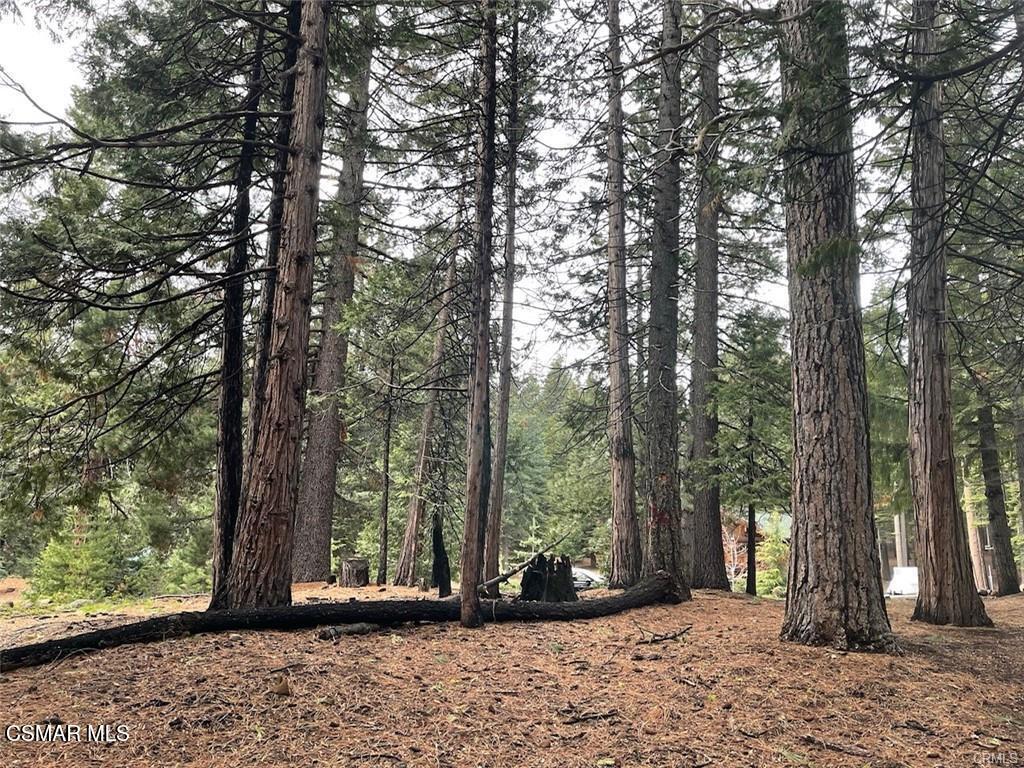 728 Lake Ridge Road Lake Almanor, CA 96137 - Photo 4 of 7 a view of outdoor space with deck and trees