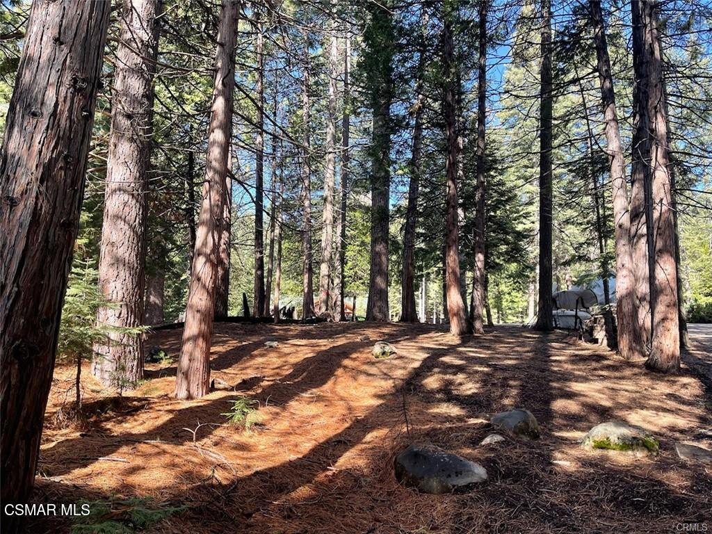 728 Lake Ridge Road Lake Almanor, CA 96137 - Photo 6 of 7 a view of a yard with plants and trees