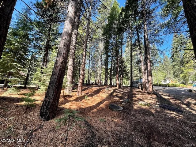 $50,000 | 728 Lake Ridge Road, Lake Almanor, CA 96137