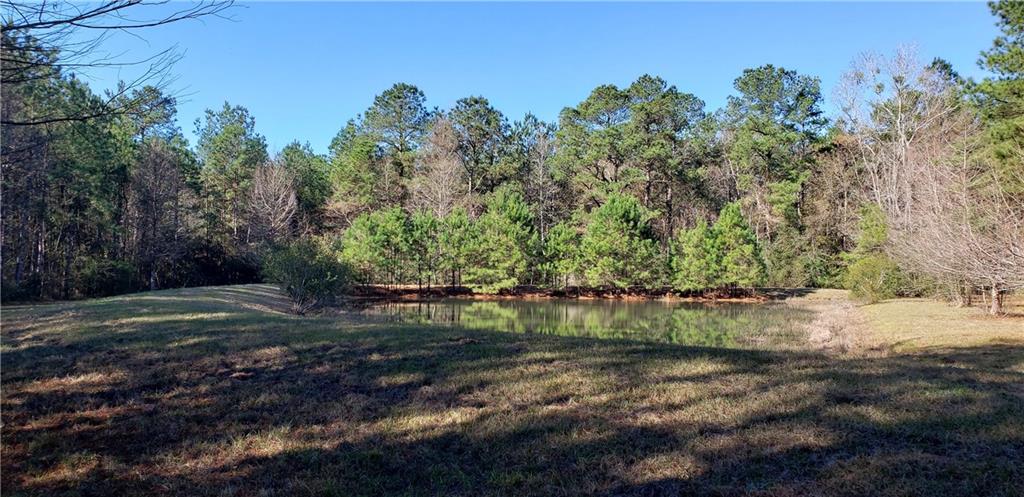 53019 South Bennett Road Independence, LA 70443 - Photo 1 of 9