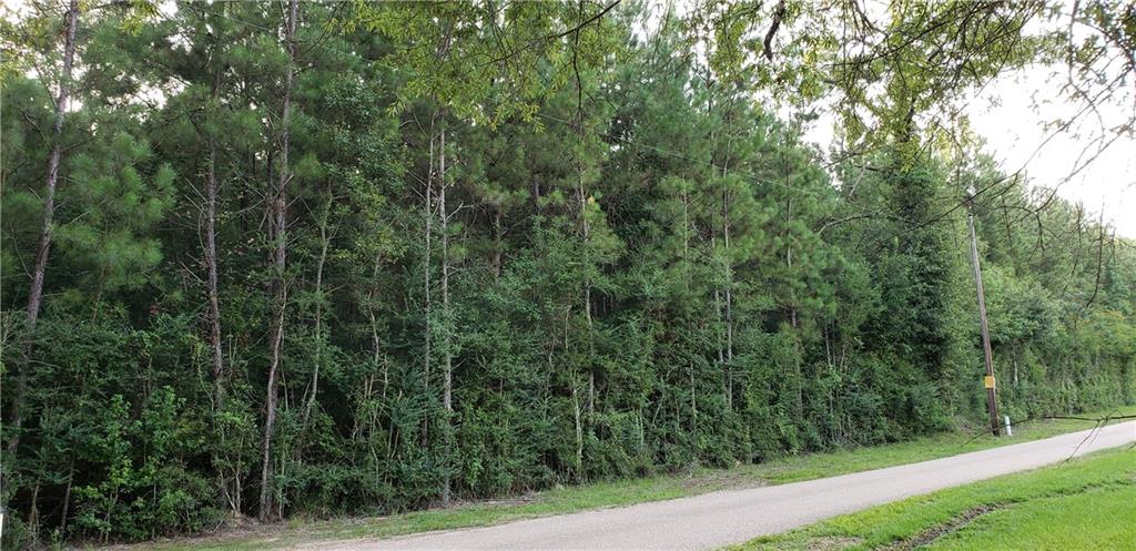 53019 South Bennett Road Independence, LA 70443 - Photo 4 of 9